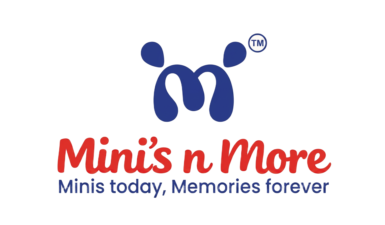 Minis n More